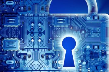 האם נטפרי מתאים לכל משתמש עסקי? בחינת התאמה לפתיחת עסק וניהול פעילות דיגיטלית